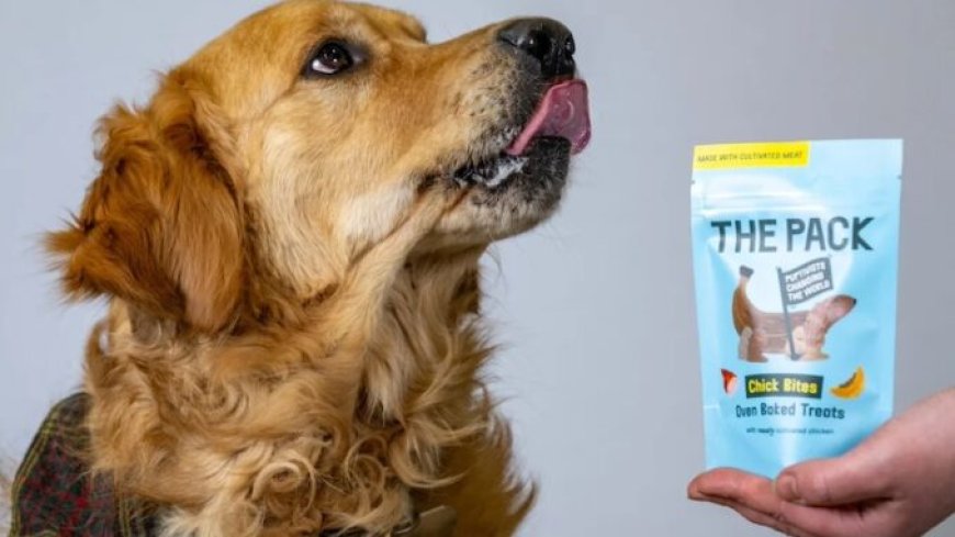 Carne OMG toxica para nuestras mascotas