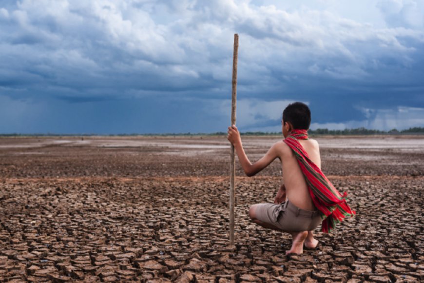 "Clima de extremos" desafía la narrativa dominante sobre el calentamiento global