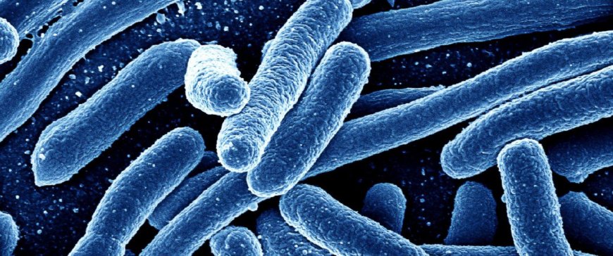 Guerra biológica y superbacterias