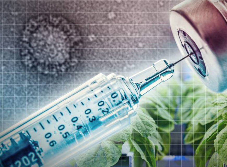 Las personas vacunadas contra COVID-19 ahora son transgénicas