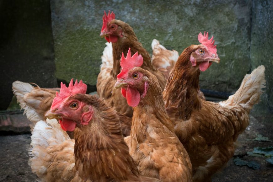 Hasta donde va la paranoia de los globalistas