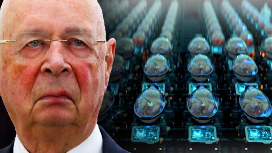 14 naciones firman un tratado con el FEM para prohibir la concepción natural en 2030