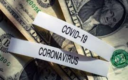 Fraude Covid – El Comienzo - Primera parte