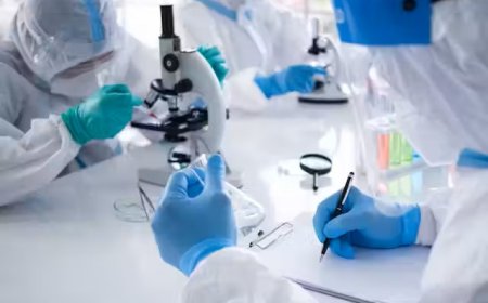 Fraude Covid – El Comienzo - Segunda parte