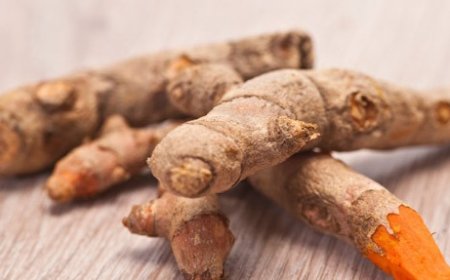 Cúrcuma: La especia dorada que apoya el bienestar