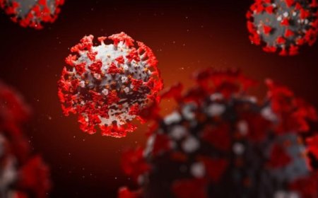 La verdad sobre el COVID 19