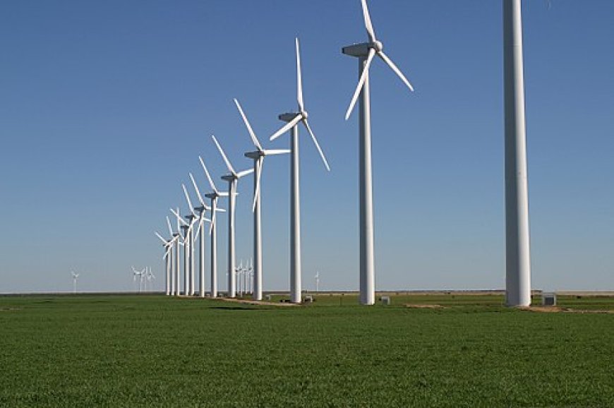Las turbinas eólicas son una amenaza para el medio ambiente