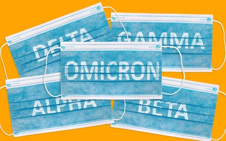 VIRUS DE LA CUEVA DE WUHAN 2025