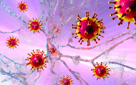 Tik Tak....La OMS quiere una nueva pandemia