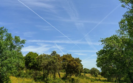 POR QUÉ LLAMAN CAMBIO CLIMÁTICO A LA MANIPULACIÓN DEL CLIMA?