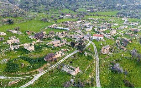 El Plan de Despoblación