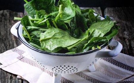 Espinacas: el superalimento rico en nutrientes