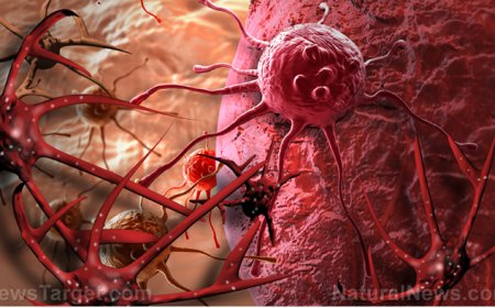 La estafa contra el cáncer de las grandes farmacéuticas