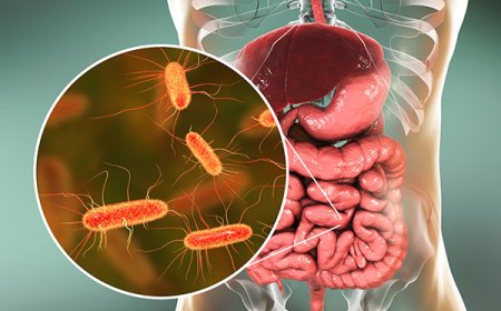 Bacterias intestinales que eliminan los metales pesados
