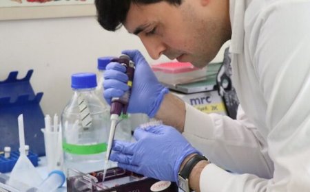 Inyecciones de ARNm que convierten las células humanas en "incubadoras de peste negra"