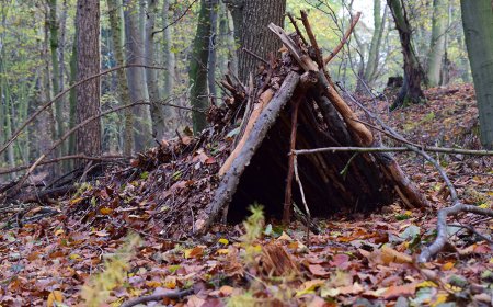 Más que una vida de fantasía