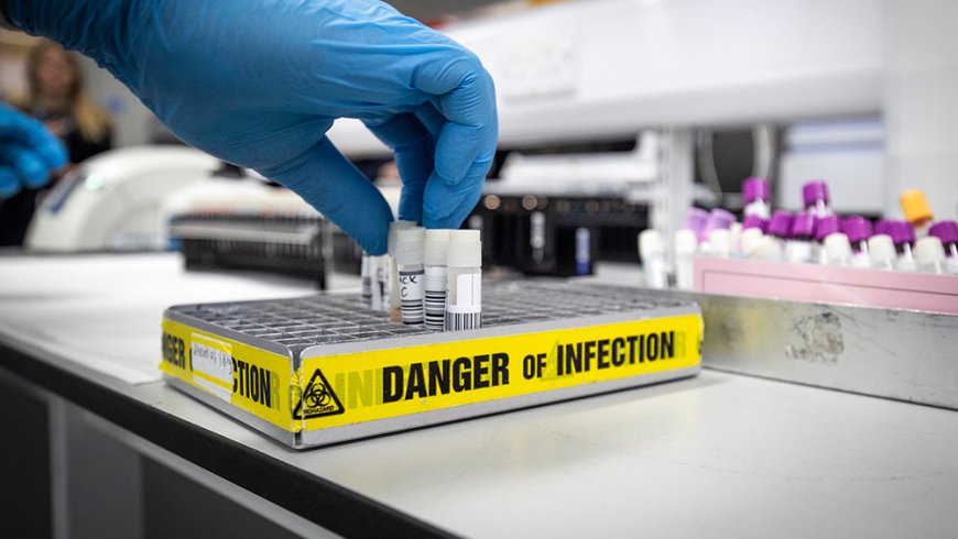 200 varientes quiméricos COVID 19 hechos en laboratorio para la próxima PLANDEMIA