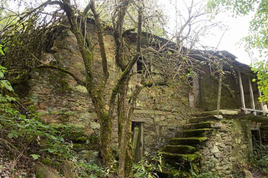 Chaguaceda, el pueblo maldito escondido tras los robles