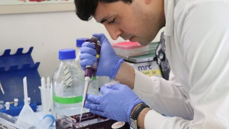 Inyecciones de ARNm que convierten las células humanas en "incubadoras de peste negra"