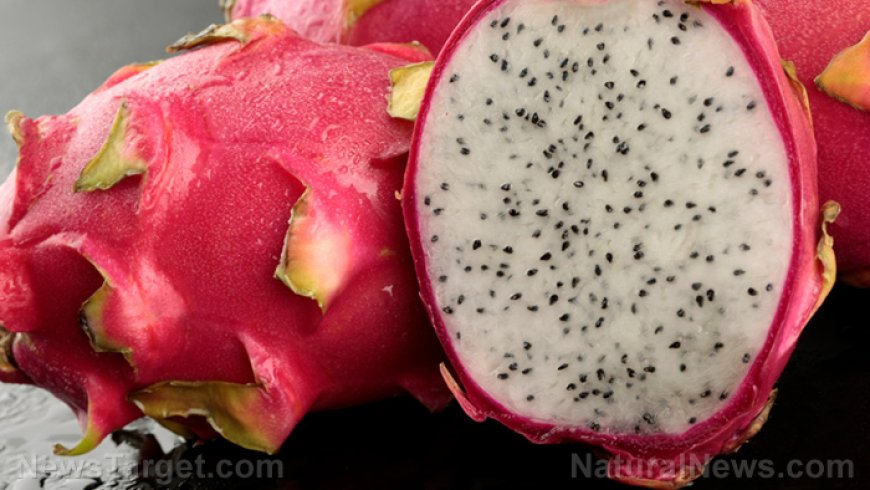 Fruta del dragón: un superalimento vibrante lleno de nutrientes y beneficios para la salud