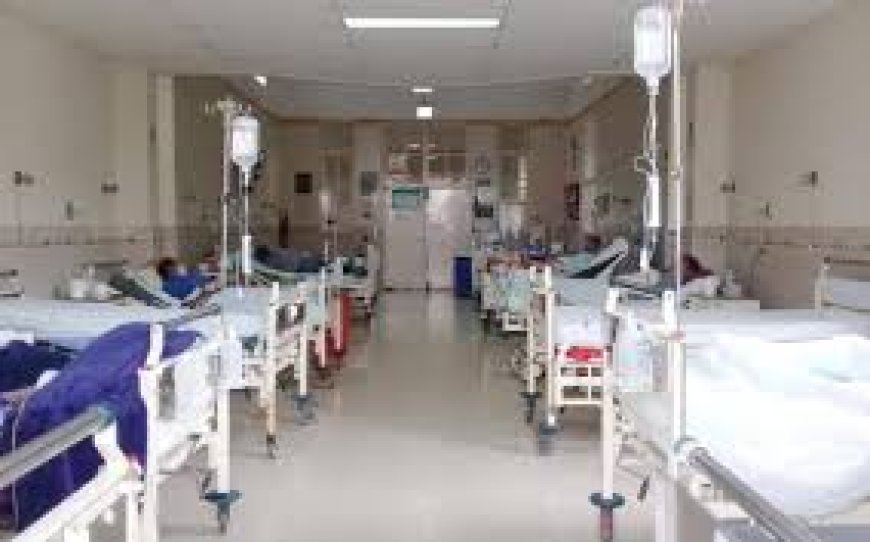 La verdad detrás de los protocolos hospitalarios asesinos