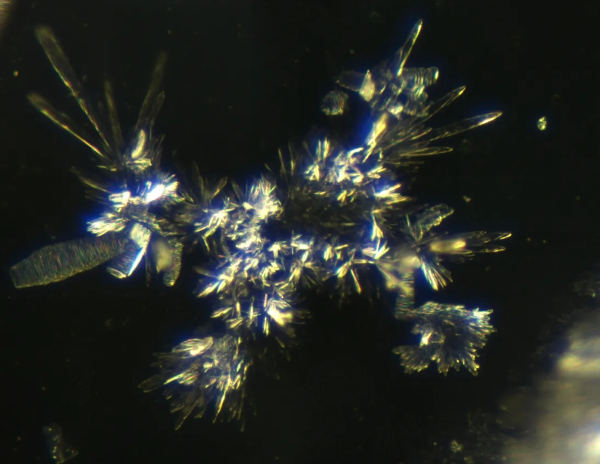 Estructuras sintéticas de oxido de grafeno en la anestesia dental