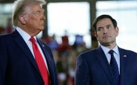 Campaña diplomática contra la ley de servicios digitales de la UE