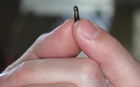 Uruguayo hackea implantes que se colocan debajo de la piel