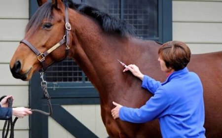 La vacuna ARNm Hendra de Pfizer mata los animales