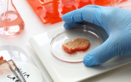 Salmón cultivado en laboratorio