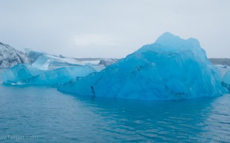Los glaciares de Groenlandia están ALIMENTANDO LA VIDA