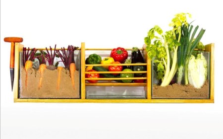 Nevera sin electricidad que conserva vegetales frescos por más de dos semanas