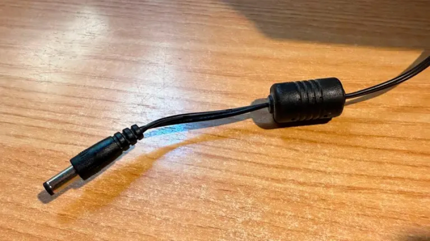 ¿Para qué sirve el cilindro en el cable de tu cargador?