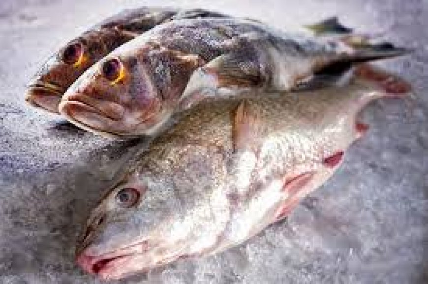 El pescado falso de Jeff Bezos aprobado para consumo humano sin pruebas de seguridad