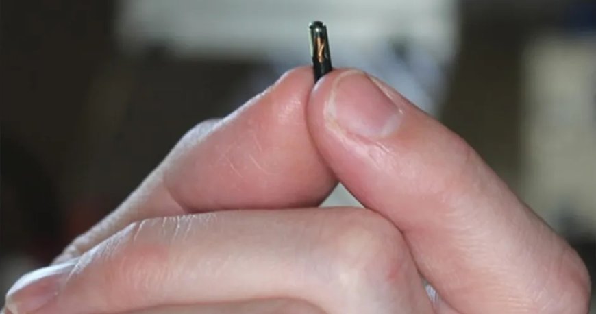 Uruguayo hackea implantes que se colocan debajo de la piel