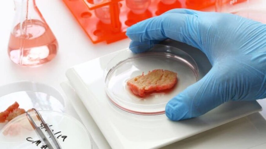 Salmón cultivado en laboratorio