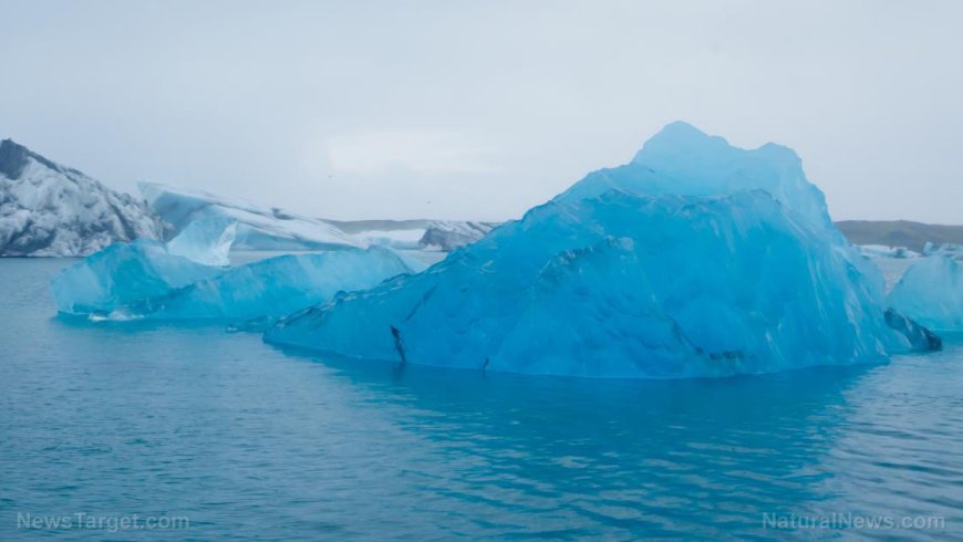 Los glaciares de Groenlandia están ALIMENTANDO LA VIDA