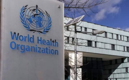 Bill Gates, la OMS y GAVI...criminales sonrientes...