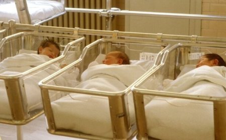 Se avecina un colapso de la población