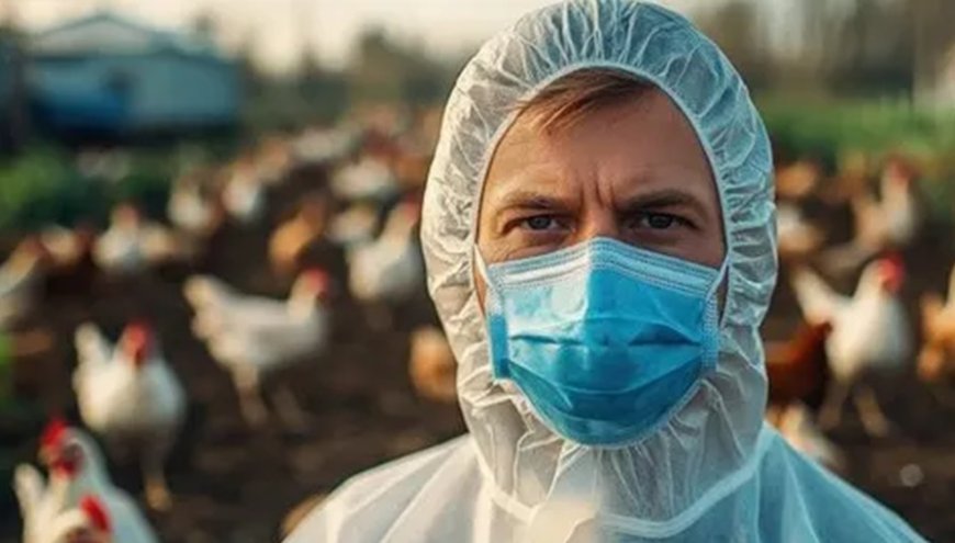 Científicos del Reino Unido están diseñando virus de la gripe aviar