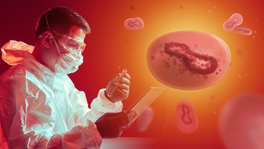 Compuestos tóxicos ocultos en los alimentos