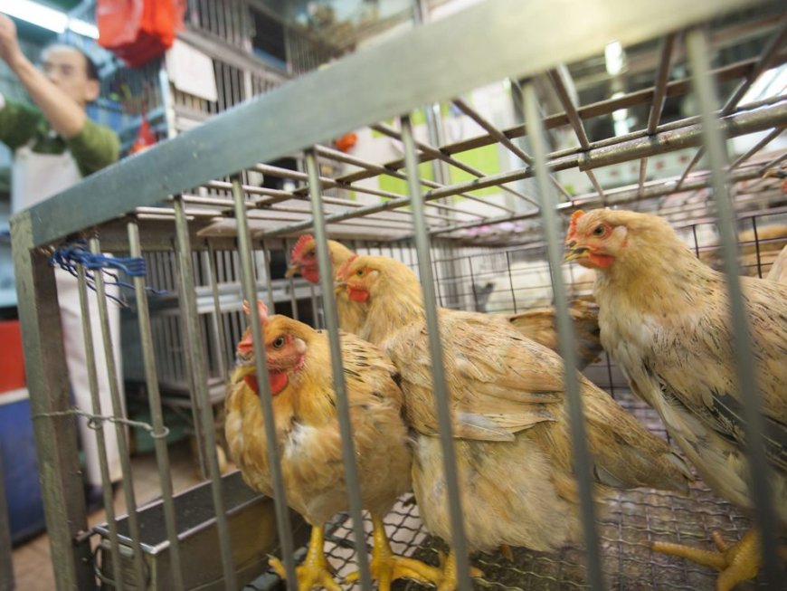 Siguen DESTRUYENDO sin tregua ????