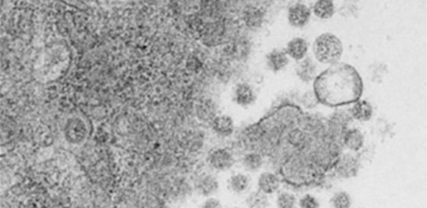 Más GRAFENO...Siguen con la operación PREHIBRIDACIÓN