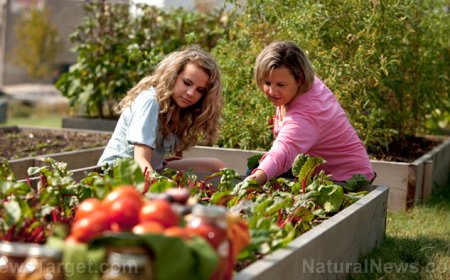 Jardinería de permacultura