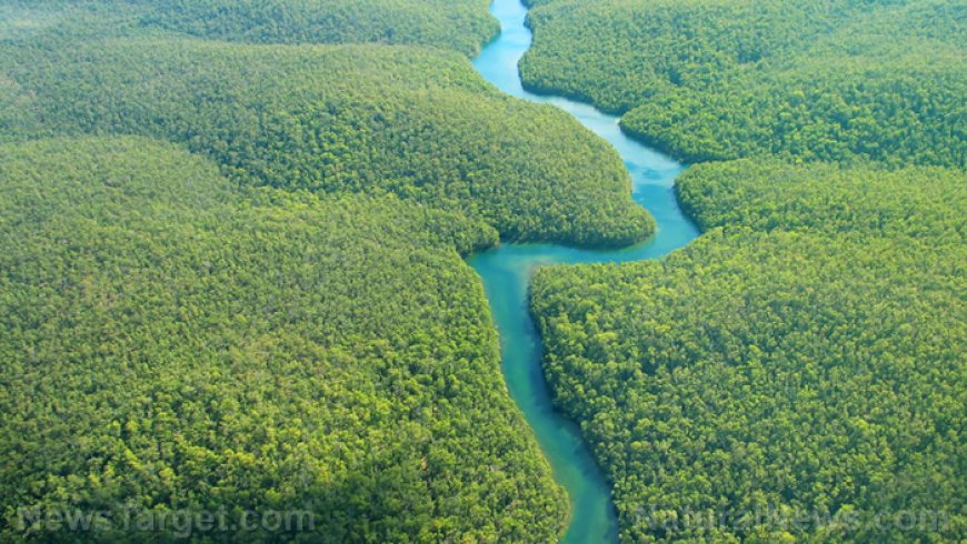 Desafían la alarma climática y prosperan con el aumento de CO2