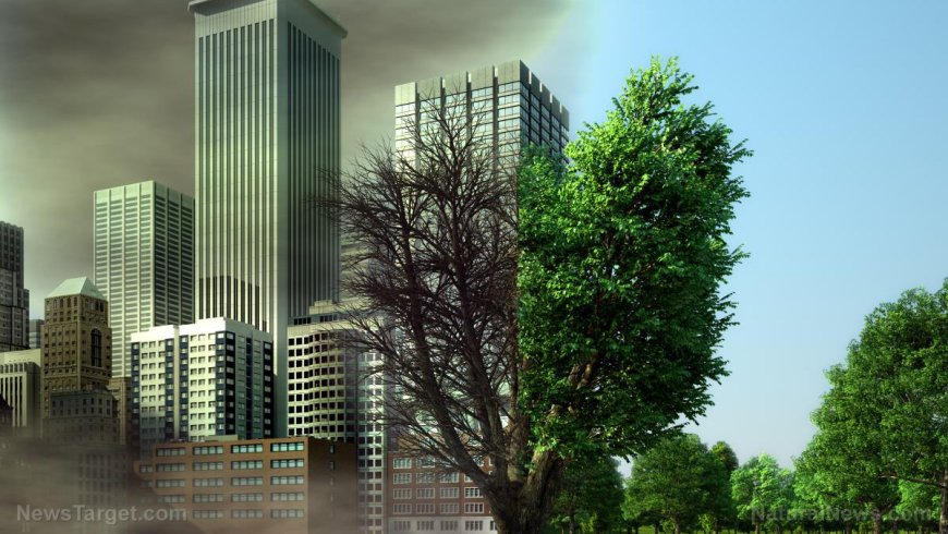 La ciencia del clima se convierte en un sermón climático