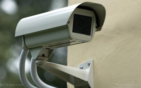 El algoritmo vio un arma