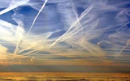 Chemtrails que destruye la capacidad del cerebro para pensar críticamente