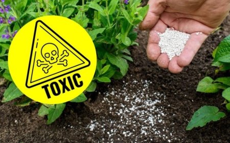 La adaptación al cambio climático es solo una excusa