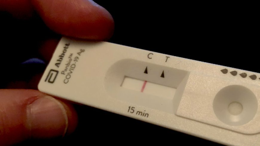 La verdad de las PCR usados en la Plandemia